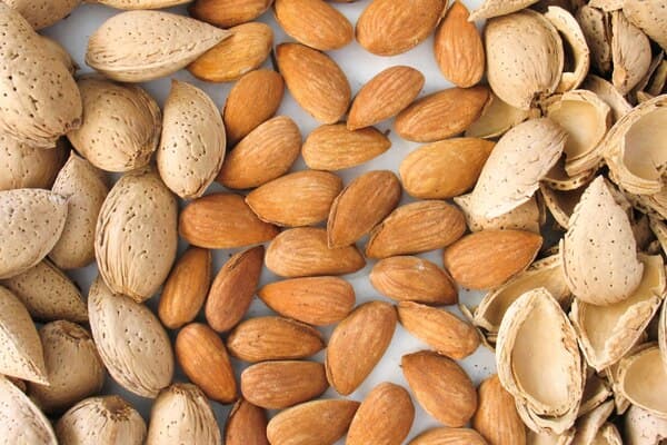 تصویر 3 از خرید و قیمت بادام پوست کاغذی + فروش عمده